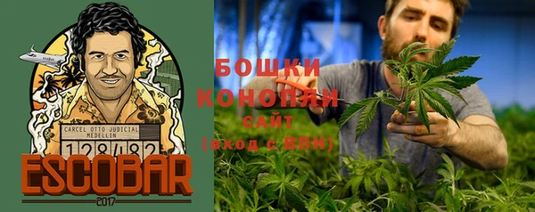 ПСИЛОЦИБИНОВЫЕ ГРИБЫ Алексин