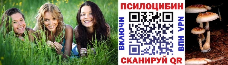 Псилоцибиновые грибы Cubensis  хочу   Дятьково 